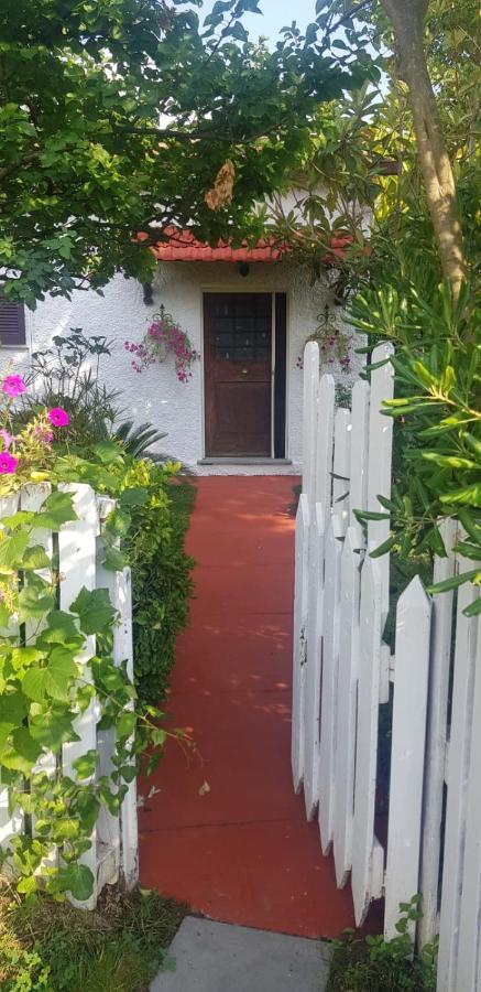 La Corte Delle Rose B&B Praia a Mare Eksteriør bilde