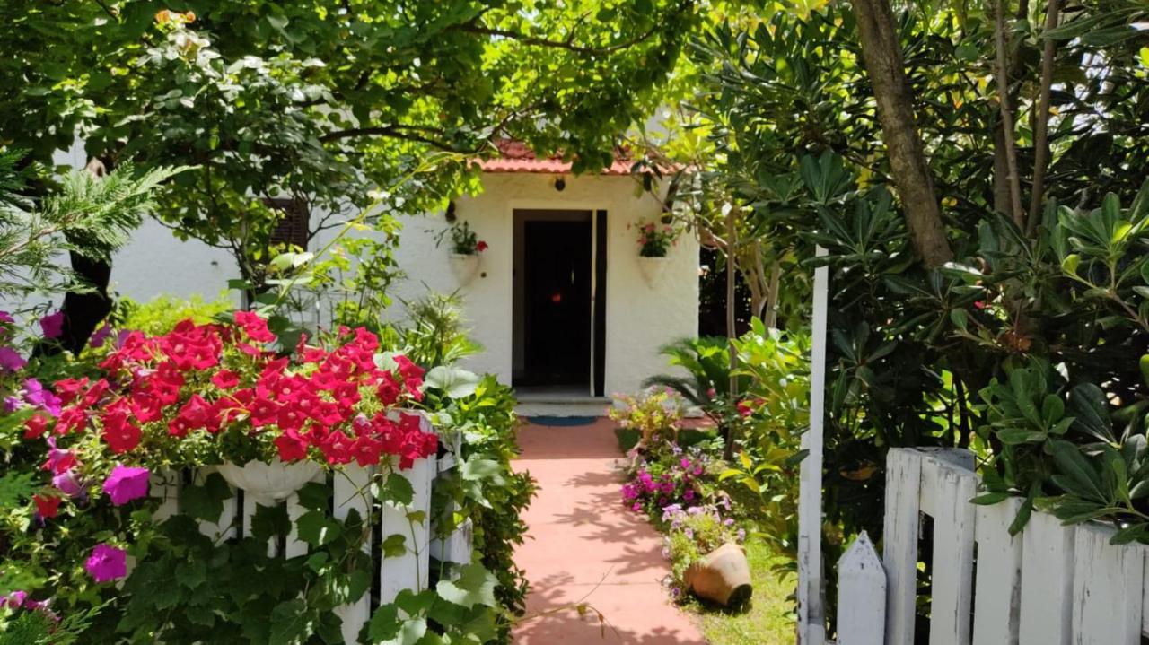 La Corte Delle Rose B&B Praia a Mare Eksteriør bilde