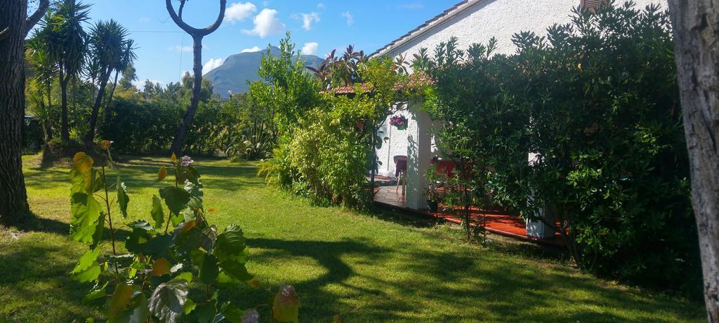 La Corte Delle Rose B&B Praia a Mare Eksteriør bilde