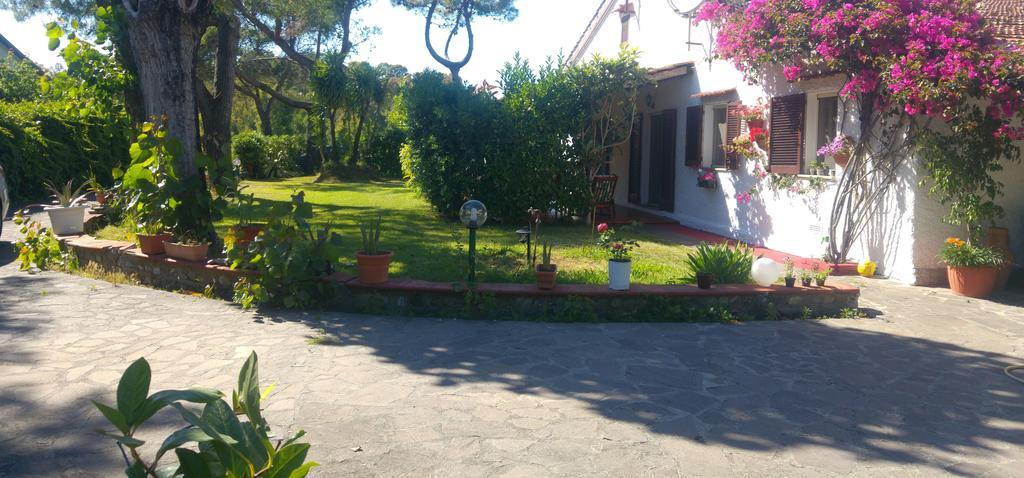 La Corte Delle Rose B&B Praia a Mare Eksteriør bilde