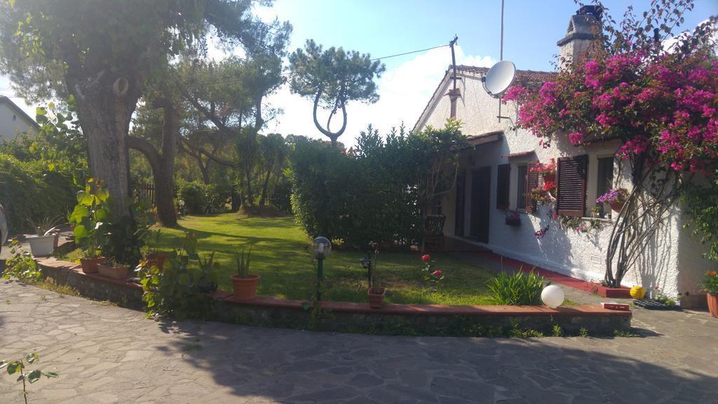 La Corte Delle Rose B&B Praia a Mare Eksteriør bilde