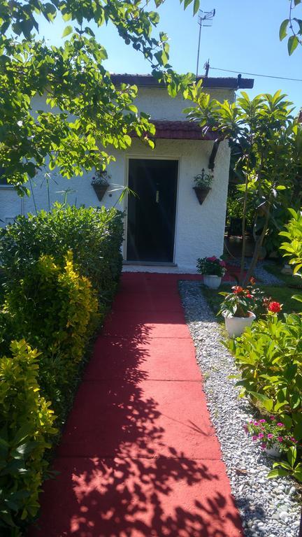 La Corte Delle Rose B&B Praia a Mare Eksteriør bilde
