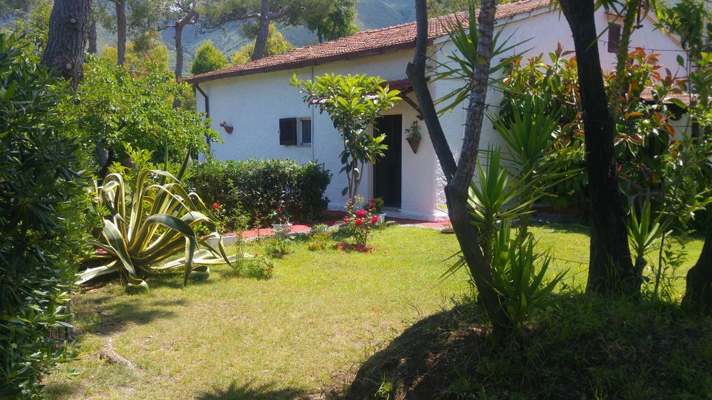 La Corte Delle Rose B&B Praia a Mare Eksteriør bilde