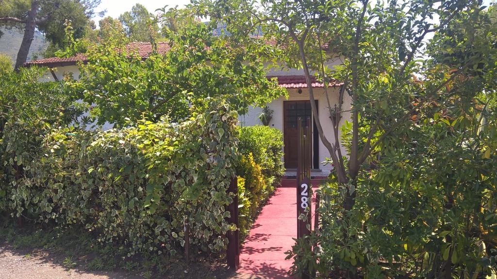 La Corte Delle Rose B&B Praia a Mare Eksteriør bilde