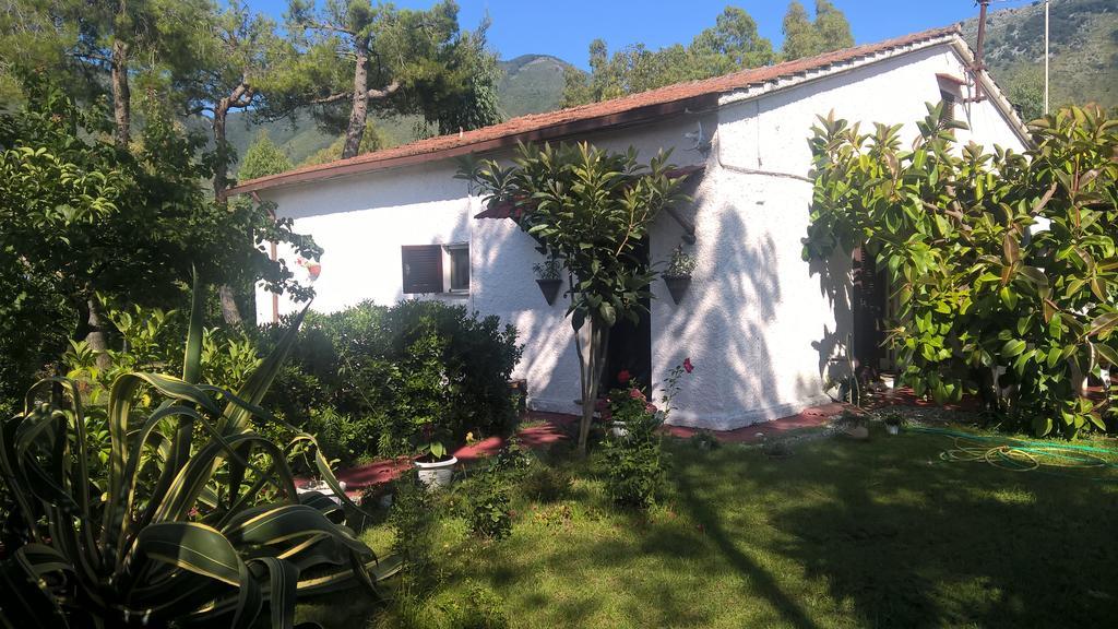 La Corte Delle Rose B&B Praia a Mare Eksteriør bilde