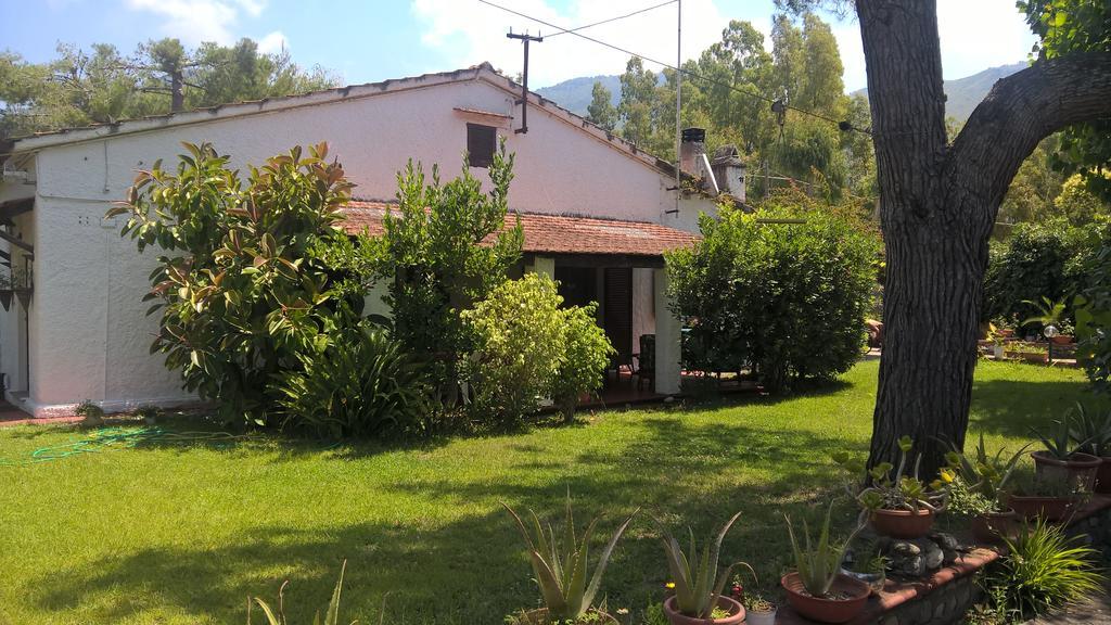La Corte Delle Rose B&B Praia a Mare Eksteriør bilde