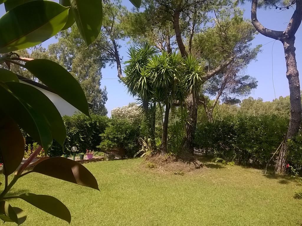 La Corte Delle Rose B&B Praia a Mare Eksteriør bilde