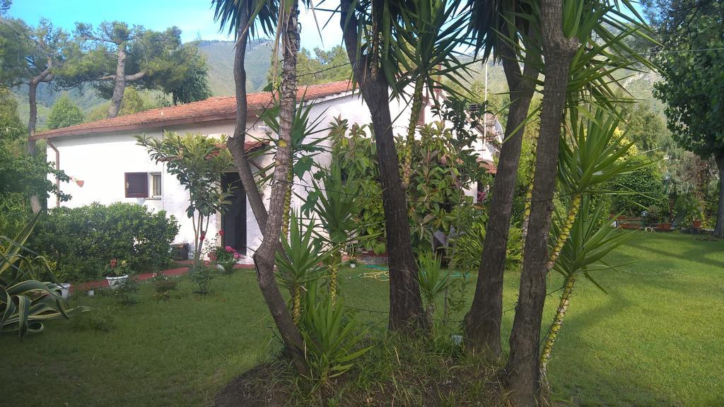 La Corte Delle Rose B&B Praia a Mare Eksteriør bilde